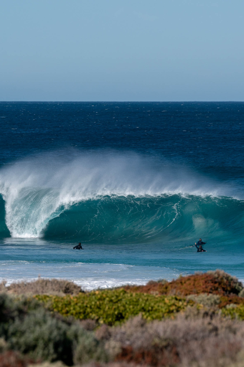 ROADKILL, AUSTRALIA - Pride Bodyboards